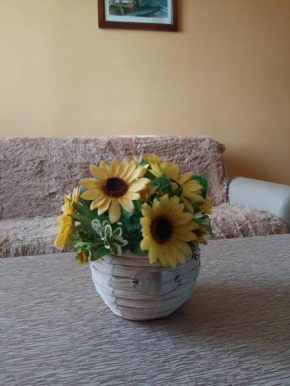 Comfortable Apartment in Yerevan